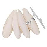 4 Stück Groß Sepiaschalen 11-13 cm Sepiaschalen für Vögel Reptilien Schildkröten Bartagamen und...