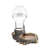 Navaris 400ml Schildkröten Wasserschale - Wasserspender für Reptilien - Wasser Tränke Trinkschale...