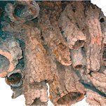 Korkröhren, -äste, flache Stücke