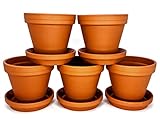meindekoartikel Topf mit Untersetzer aus Ton - Blumentopf Pflanzgefäß für Garten, Balkon und...
