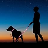 ZEWOO Leuchtendes Halsbänder + LED Hundeleine/Leine, USB wiederaufladbare LED Hunde Sicherheits...