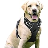 rabbitgoo Hundegeschirr Mittelgroße Hunde Anti Zug Geschirr Hund mit Kontrolle No Pull Verstellbar...