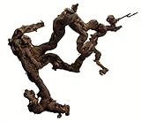 Zoo- Spezi Weinrebe 60-70 cm, Rebholz,Terrariendeko, Floristik, Rebe, Vogelsitzplatz, Vogelkäfig,...