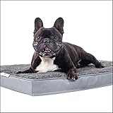 Dogoo® - Hundebett XL | 435gm2 Fluffy Stoff für Große Hunde 110x80cm | Orthopädisches Kissen...