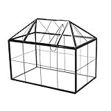 lesolar Geometrisches Terrarium Glas Geometrische Pflanze Terrarium,Sukkulent Luft Pflanzgefäß mit...