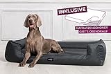 tierlando® Orthopädisches Hundebett Goofy Polyester | ~ inkl. Matratzenschoner ~ (G3 | 90 x 75 cm,...