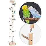 Zimmerhoher Vogel-Kletterbaum für glückliche Vögel | HiFly Basic mit Naturholz-Sitzstangen,...