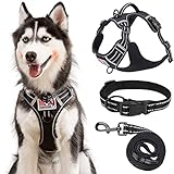 Rywell Hunde Geschirrset, Verstellbar Hundegeschirr + Hundehalsband + Hundeleine （1.5m）+ 2...