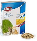 Trixie Katzengras Schale, ideal für Kätzchen, ca. 100 g/Schale