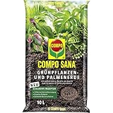 COMPO SANA Grünpflanzenerde und Palmenerde mit 12 Wochen Dünger für alle Zimmerpflanzen,...