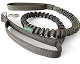 Leisegrün Elastische Hundeleine | Führleine für Hunde aus Nylon mit Kurzführer & Ruckdämpfer |...