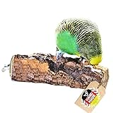 Vogelgaleria® Korksitzstange Wellensittich Nymphensittich 10cm| Kork Sitzstange mit herrlicher...