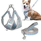 PEXXSUII Hundegeschirr Katzen Kleine Mittelgroße Hunde Welpengeschirr Reflektierend Einstellbar...