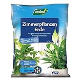 Westland Zimmerpflanzen Erde, 4 l – Erde mit Tongranulat für ein gesundes Wachstum, Blumenerde...