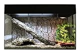 Lucky Reptile Schlangen Starter Kit 80 cm - hochwertiges Schlangen Terrarium Komplettset für die...