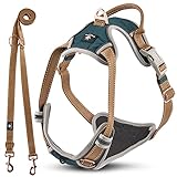 Dog & Dress Hundegeschirr Leine für große Hunde, verstellbares Anti-Zug Geschirr- Set mit 2m...
