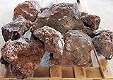 Der Naturstein Garten 25 kg Lava Steine 200-500 mm - Lavastein Aquarium Terrarium - Lieferung...