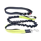 QitinDasen Grau Freihändige Hundeleine, Verstellbarer Hüftgurt und Dual Griffen Dehnbare...