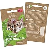 Pretty Kitty Katzenminze Samen: Premium Catnip Katzenminze Saatgut zur Anzucht Katzenminze Pflanzen,...