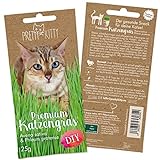 Premium Katzengras Saatmischung: 1 Beutel je 25g Katzengras Samen für 10 Töpfe fertiges Katzengras...