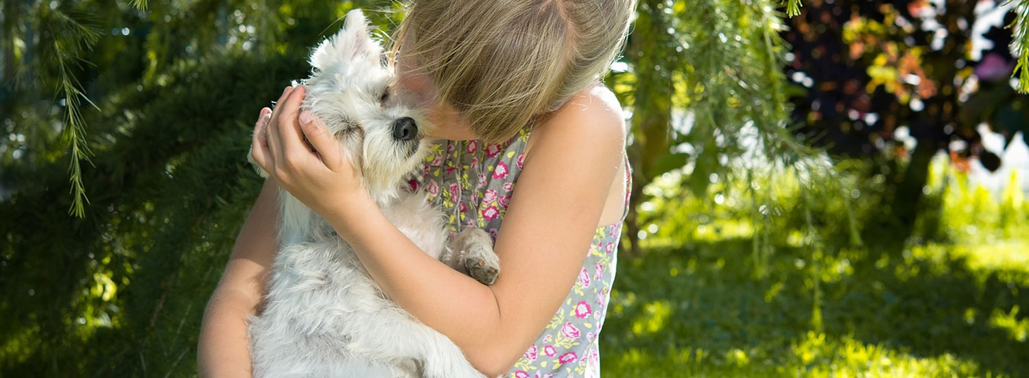 Hund-liebt-Besitzer-Anzeichen