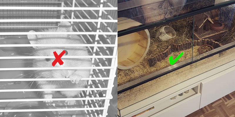 artgerechter-Hamsterkäfig