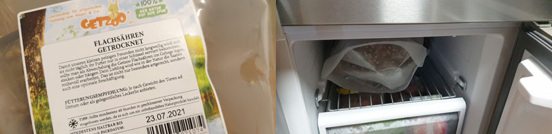 Flachsähren-eingefroren-für-48-Std