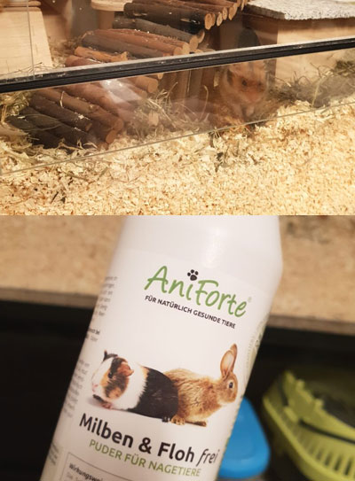 Hamster-hat-Rattenmilben