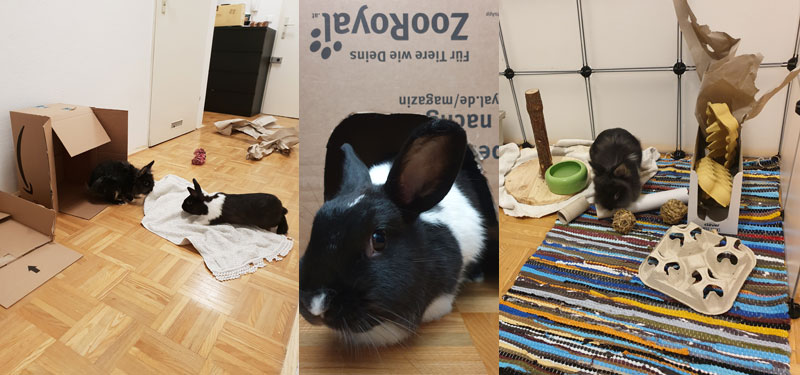 Karton-und-Schachteln2