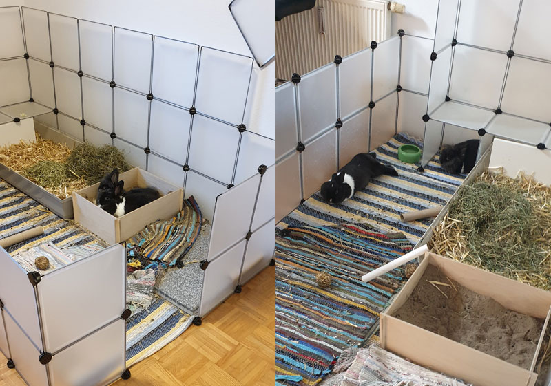 Teppiche-für-Kaninchen