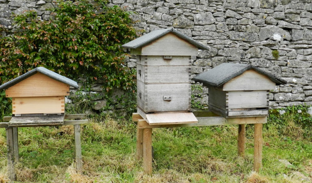 Bienenhäuschen-im-Garten